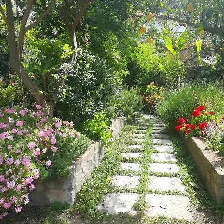 Bed & Breakfast Il Vialetto Dei Limoni Vico Equense