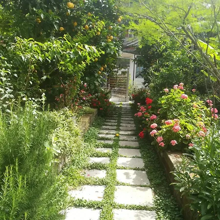 Il Vialetto Dei Limoni * Vico Equense
